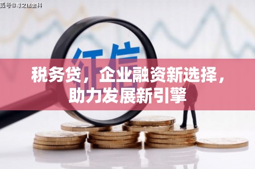 信义税务贷，企业融资新选择，助力发展新引擎