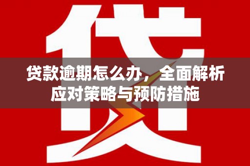 信义贷款逾期怎么办，全面解析应对策略与预防措施