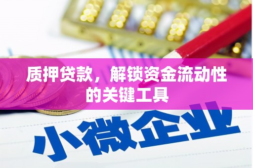 信义质押贷款，解锁资金流动性的关键工具