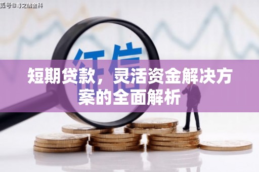 信义短期贷款，灵活资金解决方案的全面解析