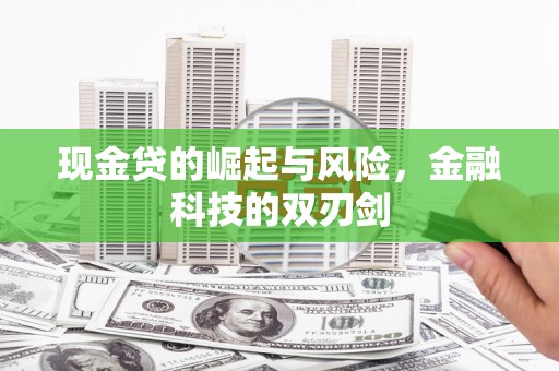 信义现金贷的崛起与风险，金融科技的双刃剑