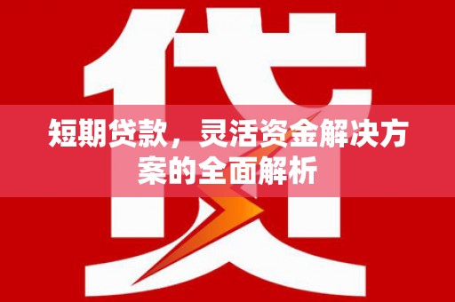 信义短期贷款，灵活资金解决方案的全面解析