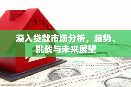 信义深入贷款市场分析，趋势、挑战与未来展望