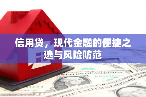 信义信用贷，现代金融的便捷之选与风险防范
