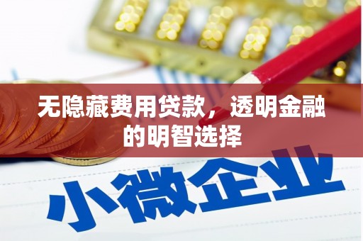信义无隐藏费用贷款，透明金融的明智选择