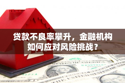 信义贷款不良率攀升，金融机构如何应对风险挑战？