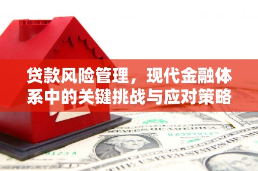 信义贷款风险管理，现代金融体系中的关键挑战与应对策略