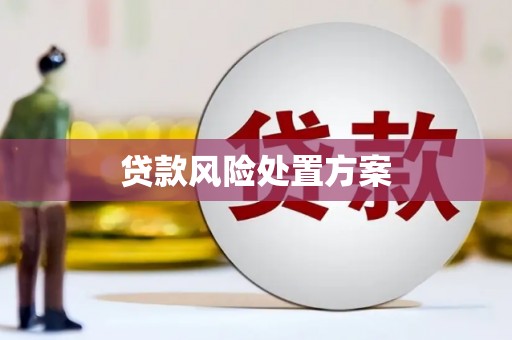 信义贷款风险处置方案