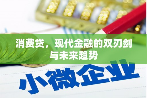 信义消费贷，现代金融的双刃剑与未来趋势